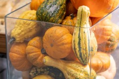 ZUERICH, 21. OKTOBER 2024 - ZUERCHER GENERALAGENTEN VERBAND ZGAV: Event des Zuercher Generalgenten Verbandes im Zurich Development Center ZDC an der Keltenstrasse 48 in Zuerich. Panel mit Erich Marte (Allianz), Thomas Steiger (Zurich), Herbert Goll (AXA), Daniel Gatti (SwissLife), Ralph Jeitzinger und Moderator Hans-Peter Nehmer (Allianz). Thema: Entschaedigungsmodelle im Aussendienst auf dem Pruefstand - Wohin geht die Reise? Auftrag: Anup Nastik, Allianz-Suisse Zuerich. 

ths/Photo by: THOMI STUDHALTER